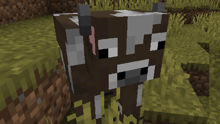 Cucumber Library hero image